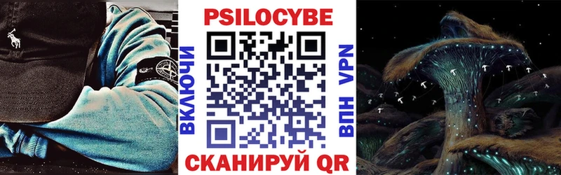 Галлюциногенные грибы Psilocybine cubensis Купино